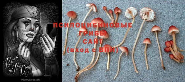 дурь Вяземский