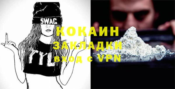 индика Володарск