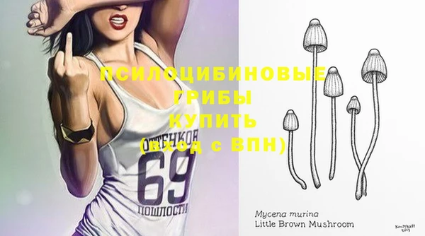 гидра Вязники