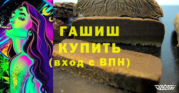 индика Володарск