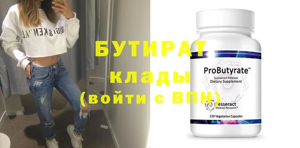 индика Володарск