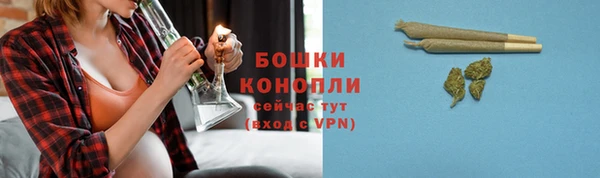 дурь Вяземский