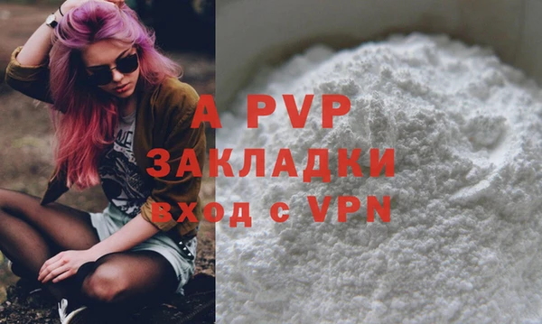 дмт Верея