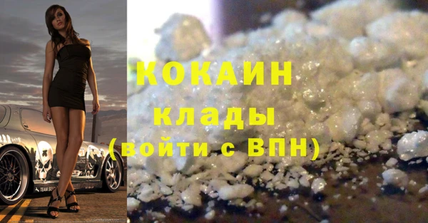индика Володарск